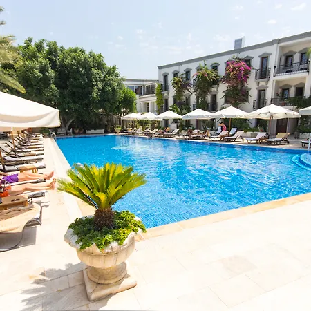 Doubletree By Hilton Marina Vista ホテル